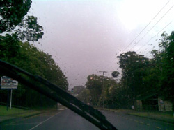 31012009(001).jpg (23565 bytes)