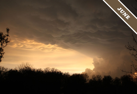 cid:image003.jpg@01CC22F6.68D15430