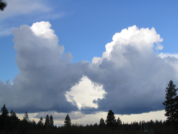 Big argument going on over Weed, California. U.S. � Pat Matthews.